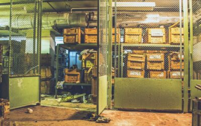 GNSS dan Integrasinya dengan IoT untuk Aplikasi Real-Time